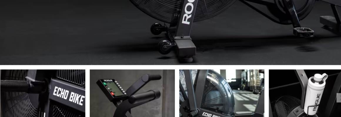 велоергометър rogue echo bike