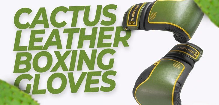 боксови ръкавици от кактусова кожа