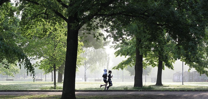 ползи от упражненията на бягаща пътека