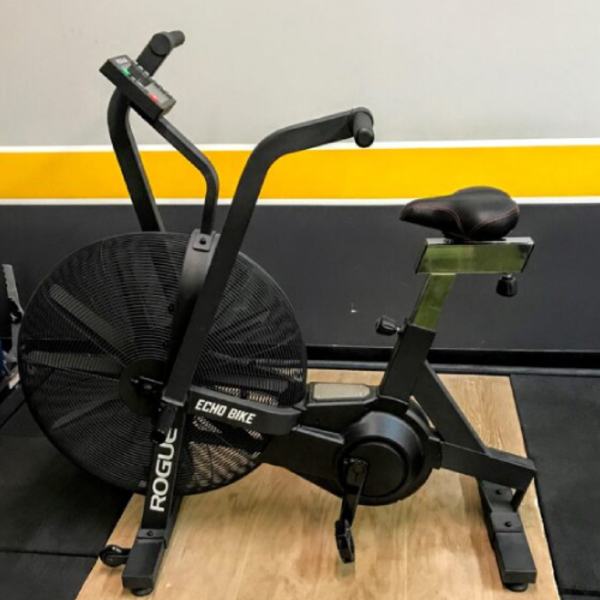 Rogue Echo Bike
