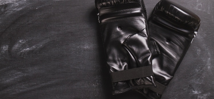 MMA ръкавици
